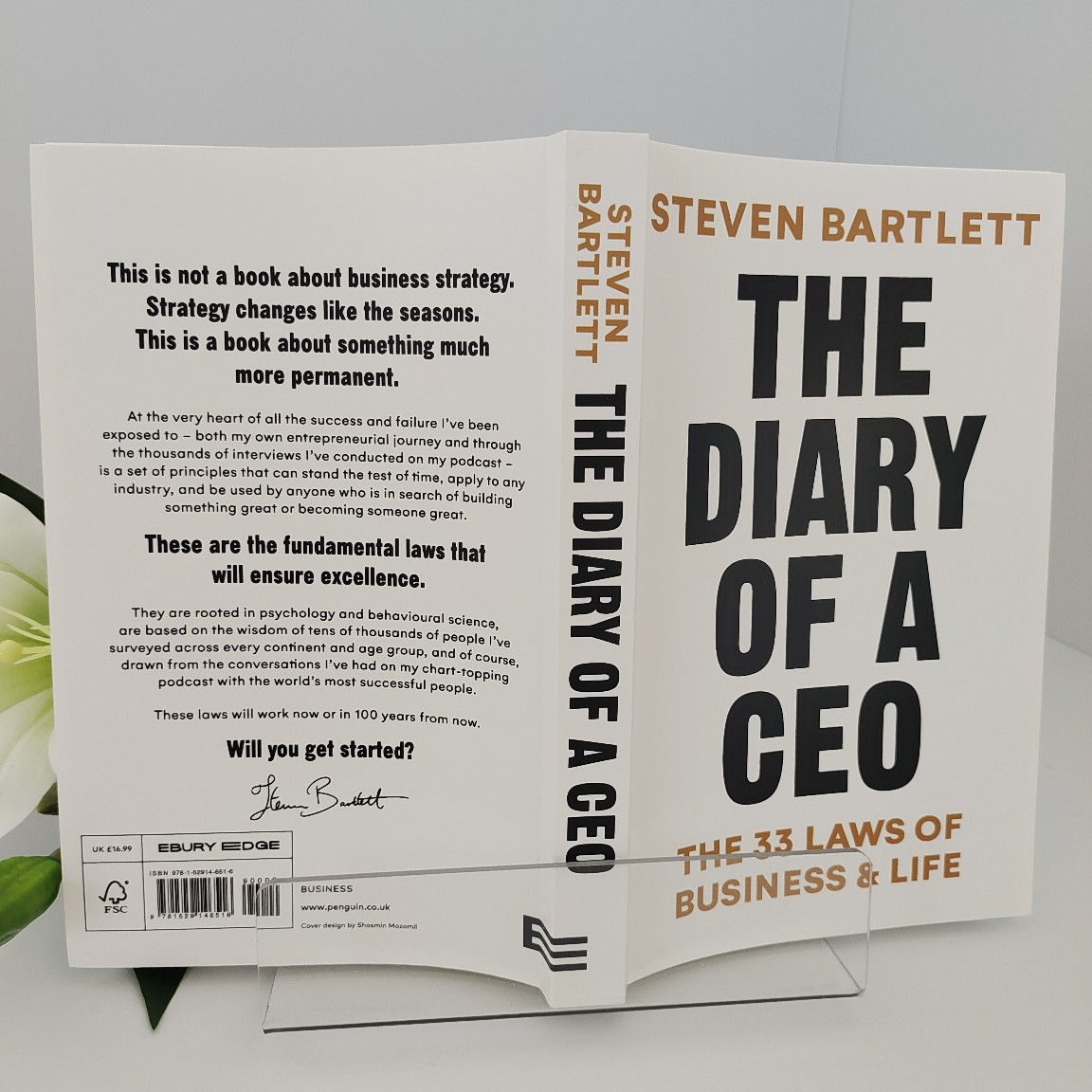 The Diary of A Ceo The 33 Laws - Commercial Printing Books ulasan dan harga